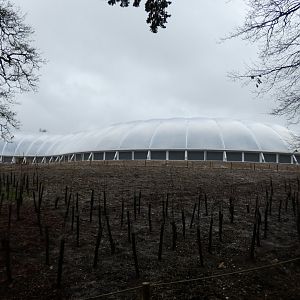 View of Tropical House