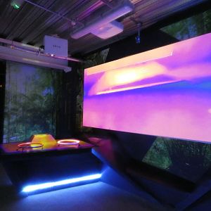 Thermal imaging display