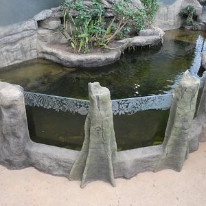 View of Fish tank and Pygmy Marmoset island