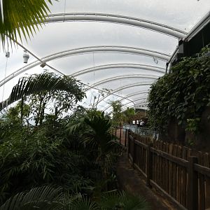 View across the new Tropical House