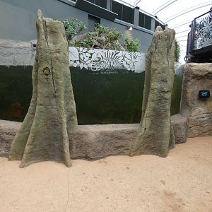 Fish Tank (with Pygmy Marmoset island in the back)