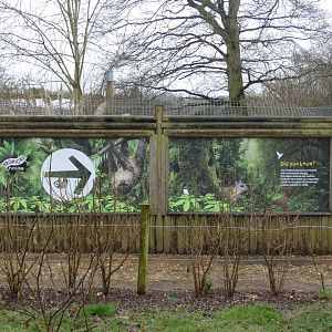Serval viewing windows