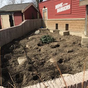 American Badger outdoor exhibit - Wisconsin Heritage - Henry Vilas Zoo