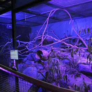 Mahogany Glider enclosure