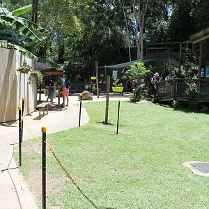 Macropod walk-through