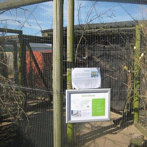 Dyreparken NBV - Finch aviary