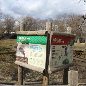 Future Addax Exhibit - Habitat Africa: The Savannah