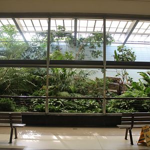 South American Aviary - Feathers and Scales