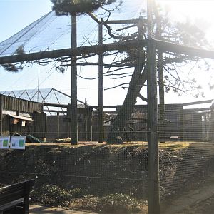 Dyreparken NBV - Free-flight aviary
