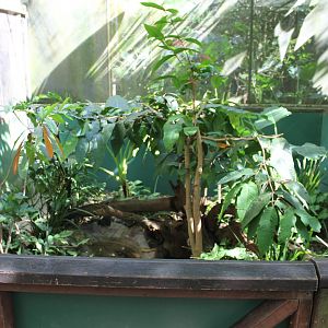 Reptile enclosure