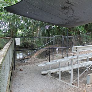 Freshwater Crocodile exhibit