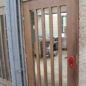 View into the food-kitchen Birdhouse