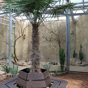 African savanne-aviary