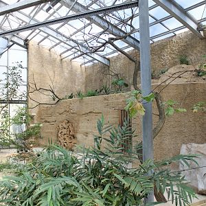 African riverbank-aviary