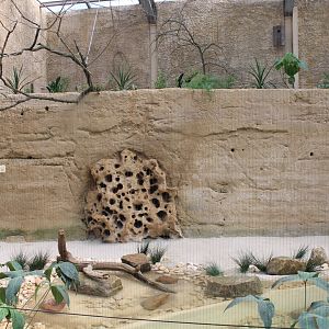African riverbank-aviary