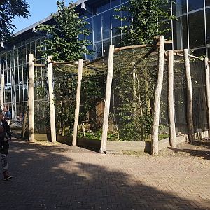 Village weaver-aviary