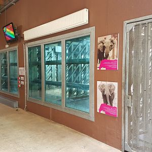 View into the elephant-stables