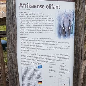 Sign African elephant