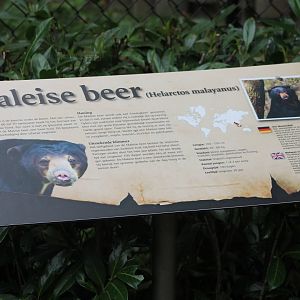 Sign Sun bear