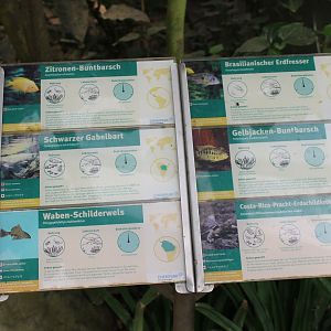 Fish ( and turtle ) signs