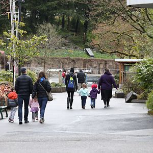 main path (elephant exhibit in background)