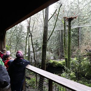 bald eagle aviary (excellent)