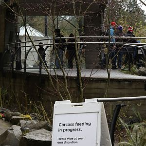 condor exhibit (with warning sign)