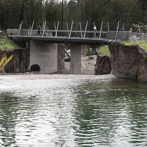 Asian elephant pool (with bridge to indoor area)