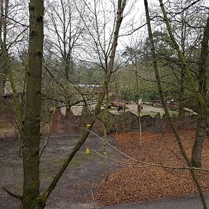 View toward camel-enclosure