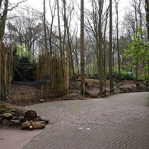 Path toward dino-part