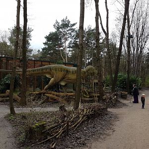 Dino and Tortoise-house