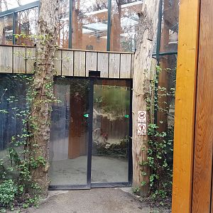 Entrance Tortoise-house