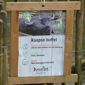 Sign Cape buffalo