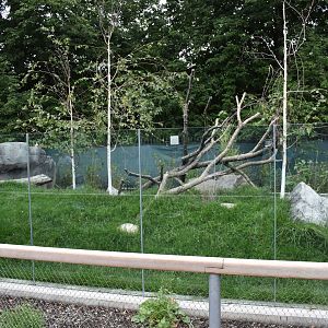 Nature's Neighborhoods - Red Panda/Reeves' Muntjac Exhibit