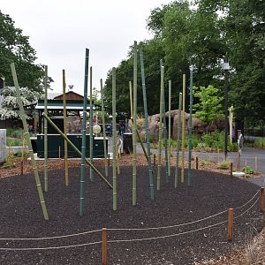 Nature's Neighborhoods - Bamboo Climber