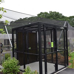 Nature's Neighborhoods - Wetlands Aviary