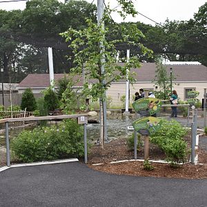 Nature's Neighborhoods - Wetlands Aviary