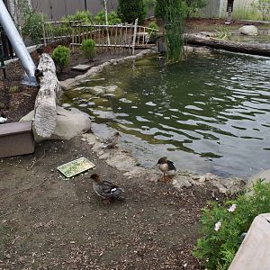 Nature's Neighborhoods - Wetlands Aviary