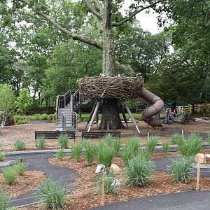 Nature's Neighborhoods - Eagles Nest play area