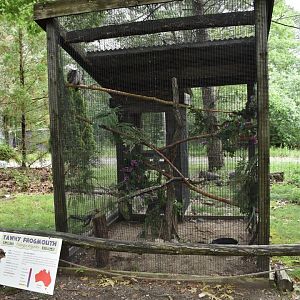 Outback Trail - Tawny Frogmouth Exhibit