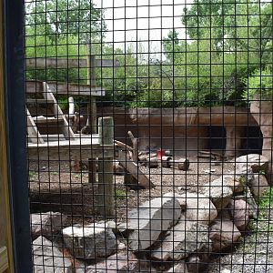 Sloth Bear Exhibit
