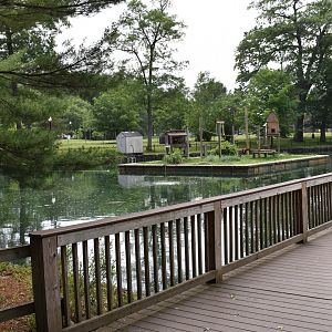 Red Ruffed Lemur Exhibit
