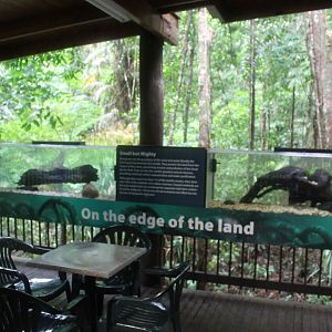 Gudgeon and empty tank