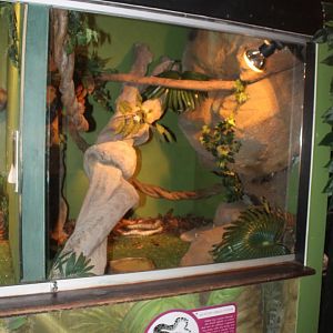 Julatten Jungle Python enclosure