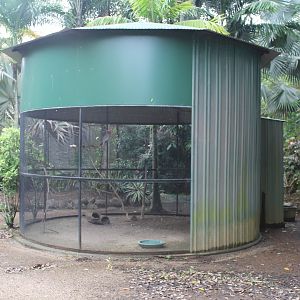 Cockatoo/Dove enclosure