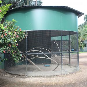 Cockatoo/Dove enclosure