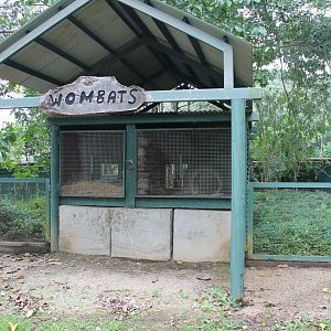 Wombat enclosure