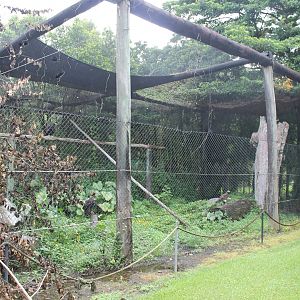 Wedge-tailed Eagle enclosure