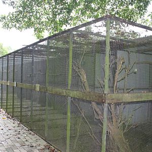 Parrot aviaries
