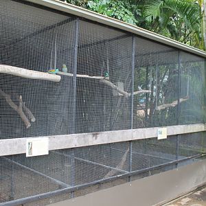 Golden-shouldered Parrot & Hooded Parrot aviaries